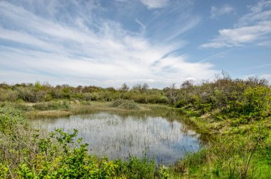 Güneşli bir bahar gününde Hollanda 'nın Voorne adasında, Rockanje yakınlarındaki kumullarda sirrus bulutları olan sığ bir göletin altında sakin bir manzara.