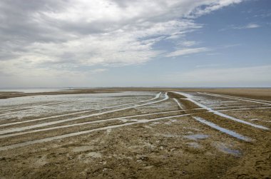 Hollanda, Rotterdam 'daki Maasvlakte sanayi bölgesinde dramatik bir gökyüzü altında kumlu bir sahilde ağır araç izleri var.