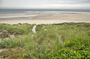 Rotterdam, Hollanda 'daki Maasvlakte sanayi bölgesindeki yüksek bir kumuldan geniş bir sahil ve kuzeydeniz boyunca uzanan
