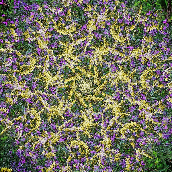 Abstract Kaleidoscopic Pattern Reminiscent Colorful Flowers Growing Garden Summer — Stock Photo, Image