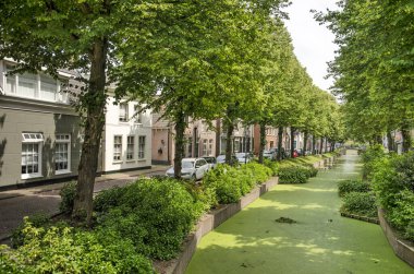 Rijnsbrug, Hollanda, 7 Temmuz 2021: Eski şehrin dar kanalı, ördek otuyla kaplanmış ve gölgeli ağaçlar ve geleneksel evlerle dolu.