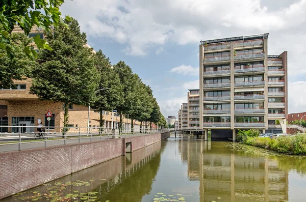 Zwolle Augustus 2021 Flatgebouwen Een Rij Bomen Reflecterend Een Moderne — Stockfoto