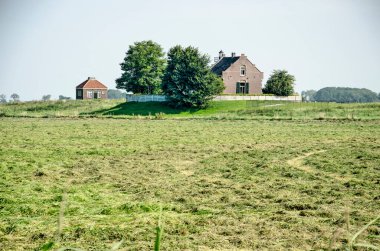 Schokland, Hollanda, 12 Ağustos 2021: Eski adanın en kuzey tepesine doğru yeni biçilmiş bir çayır manzarası