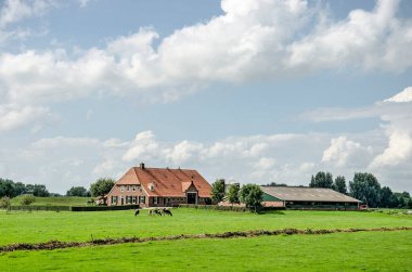Zwolle, Hollanda, 10 Ağustos 2021: İneklerle dolu geleneksel çiftlik evi ve dost bir gökyüzünün altında büyük bir ahır
