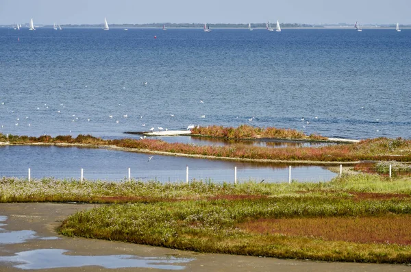 Zicht Het Grevelingenmeer Nederland Het Grootste Zoutwatermeer Van Europa Zoute — Stockfoto