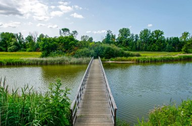 Hollanda Sintmaartensdijk yakınlarında bir derenin karşısındaki uzun tahta köprü.