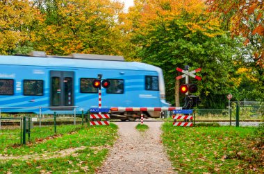 Ede, Hollanda, 29 Ekim 2025: Vadi hattındaki mavi sürat treni yüksek hızda sonbahar renklerinde bir ormanın içinden geçiyor.