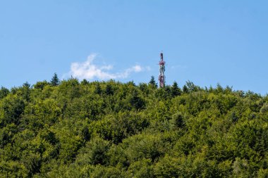 TSR Kicarz Dağı, Piwniczna - Zdrj ve yayın kulesi