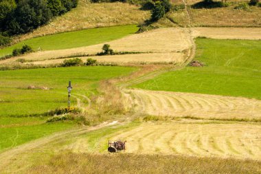 Güzel dağ manzarası, kırsal kesimlerde biçilmiş tarlalar.