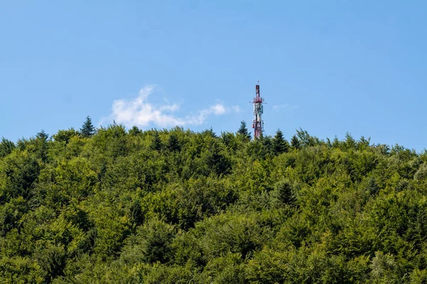 TSR Kicarz Dağı, Piwniczna - Zdrj ve yayın kulesi