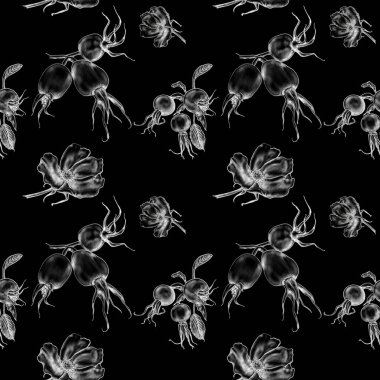 Yabani gülün çiçekleri ve meyveleri. Botanik, klasik, kusursuz desen. Dijital illüstrasyon.