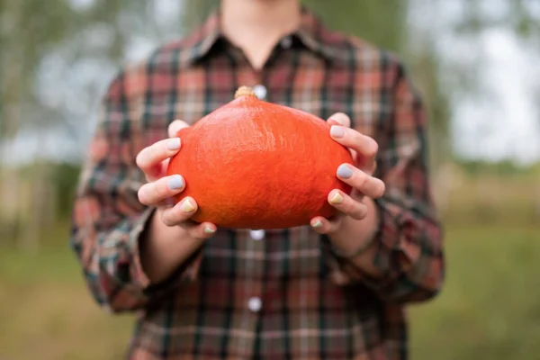 Ekose gömlekli bir kız ellerinde küçük turuncu bir balkabağı tutuyor.