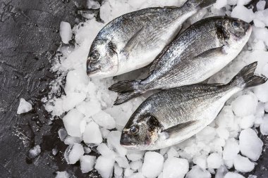 Buzda taze çiğ dorado balığı.