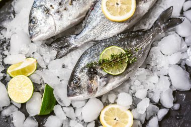 Buzda taze çiğ dorado balığı.