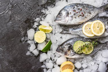 Buzda taze çiğ dorado balığı.