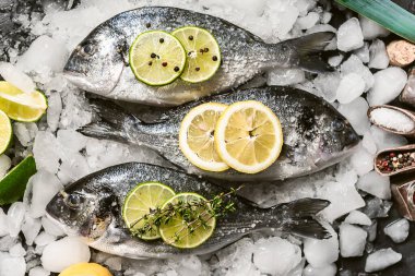 Buzda taze çiğ dorado balığı.