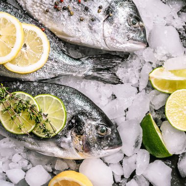 Buzda taze çiğ dorado balığı.