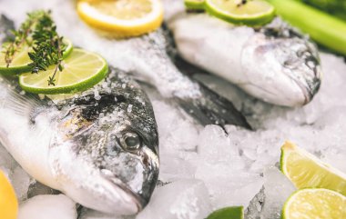 Buzda taze çiğ dorado balığı.