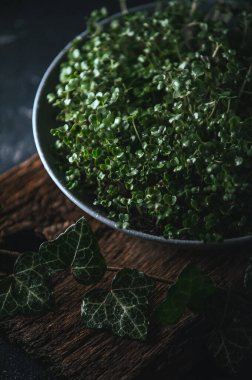 Ahşap bir arka planda gri bir çanakta mikroyeşil