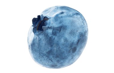 Yabanmersini soyutlama. Beyaz arka planda olgun büyük yaban mersini