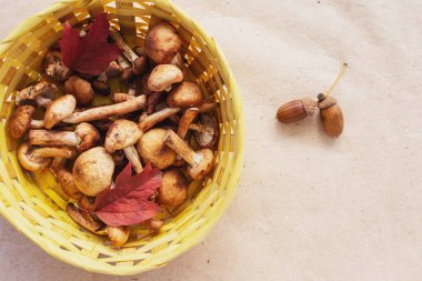 Sonbahar mantarları Hasır tabakta bal aromaları