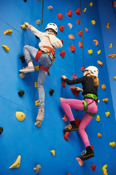 Two athlete girls climbing on blue wall — Stockfoto