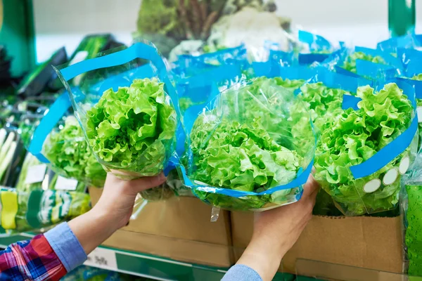 Salade van groene blad in de winkel — Stockfoto