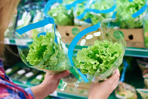 Insalata foglia verde in negozio — Foto Stock