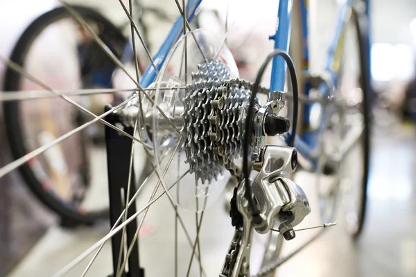 Transporte com corrente traseira roda esportes bicicleta de montanha — Fotografia de Stock