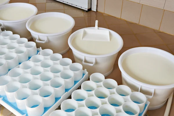 플라스틱 금형 및 발효 생산 치즈와 우유 — 스톡 사진