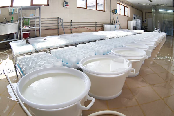 Moldes de plástico y leche con fermento para la producción de queso — Foto de Stock