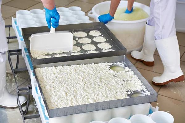 Moldes de llenado para la producción de queso blando — Foto de Stock