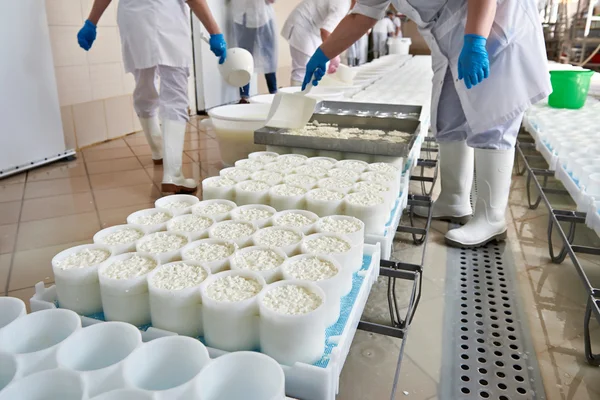 Moldes de llenado para la producción de queso blando — Foto de Stock