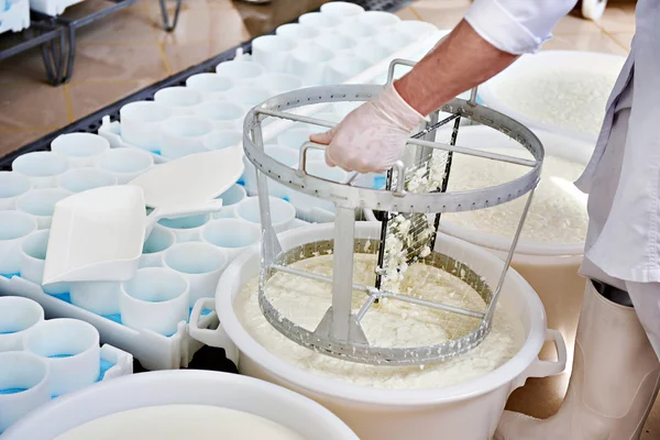 Змішування сиру для виробництва камамбер — стокове фото