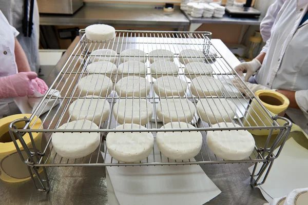 Embalaje manual de queso camembert — Foto de Stock