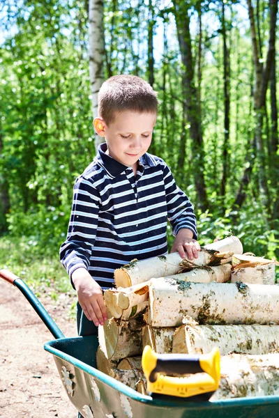 Kleiner Junge trägt Brennholz aus Wald — Stockfoto