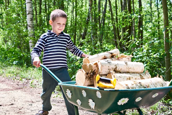 Little boy carries firewood from forest — Stock Photo, Image