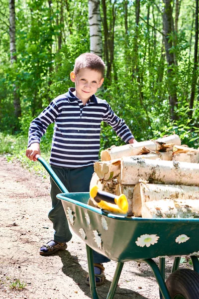 Küçük çocuk ormandan gelen odun taşır — Stok fotoğraf