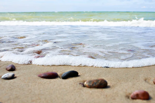 Mousse de mer sur la plage de sable — Photo