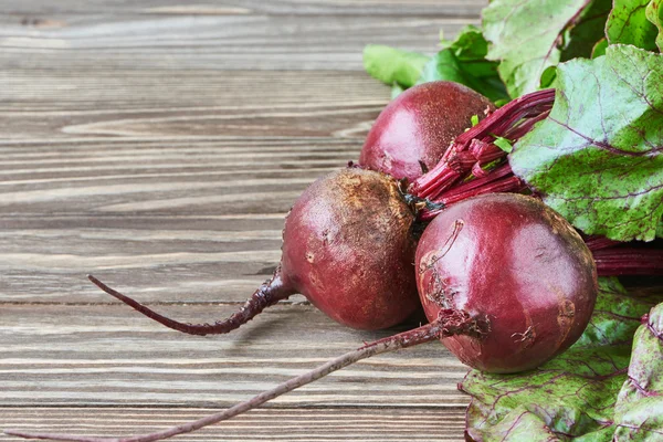 Fresh beet bunch — Stock Photo, Image