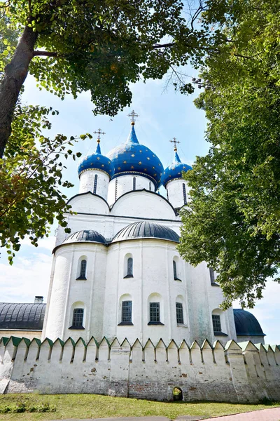 Szűz Mária Születésének Székesegyháza Suzdalban Oroszországban — Stock Fotó