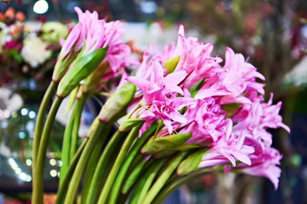Hermoso Ramo Colorido Flores — Foto de Stock
