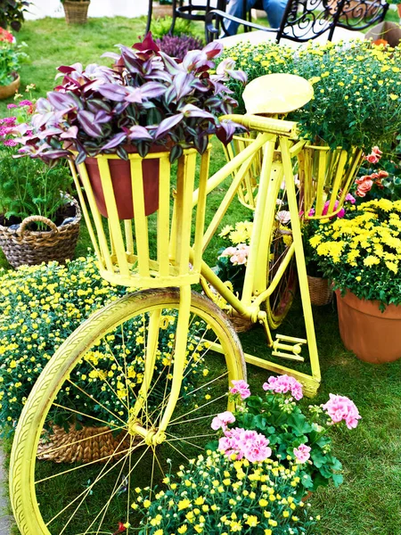 Decorative Retro Bicycle Basket Flowers Flowers Exhibition — Stock Photo, Image