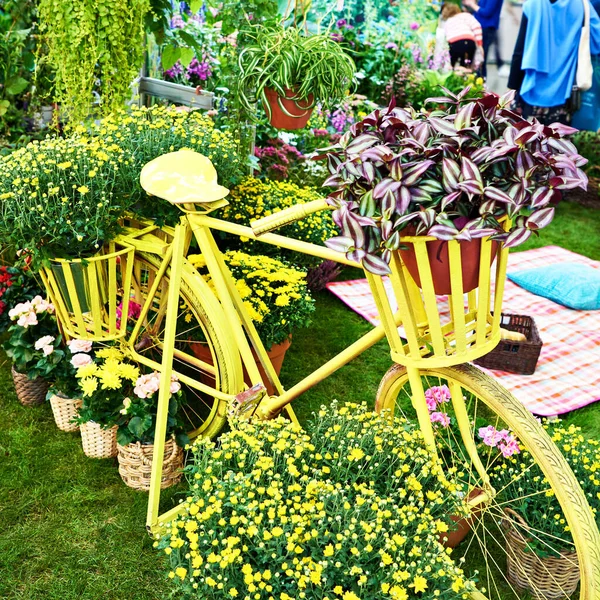 Decorative Retro Bicycle Basket Flowers Flowers Exhibition — Stock Photo, Image