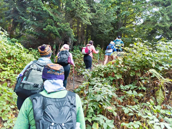 Grupo Turistas Trekking Floresta Montanha — Fotografia de Stock