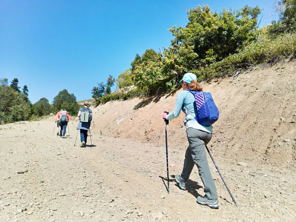 Grupo Turistas Trekking Nas Montanhas — Fotografia de Stock