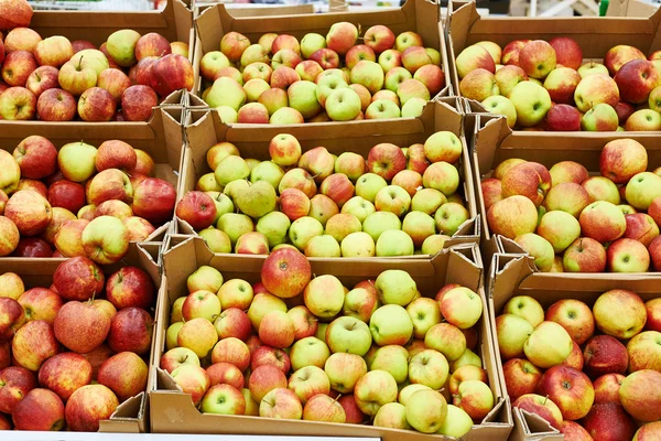 Manzanas en el mostrador —  Fotos de Stock