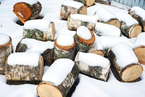 Birkenstämme im Schnee im Winter — Stockfoto