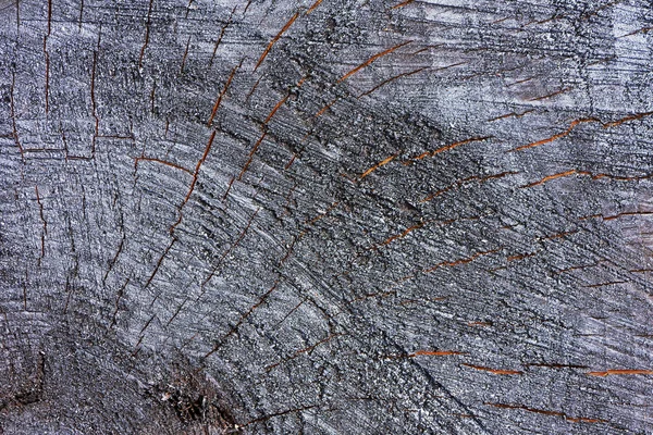 Pintura negra pintada en madera vieja — Foto de Stock