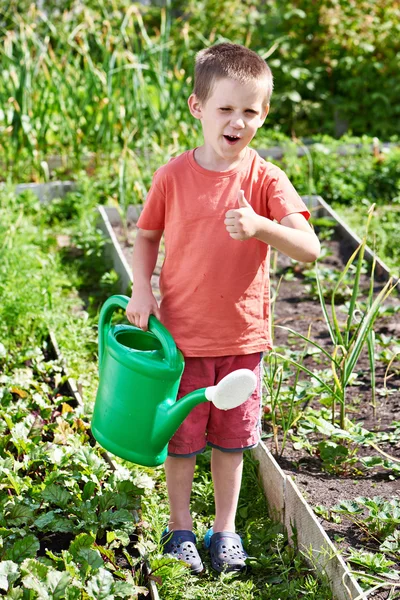 Kleiner Junge mit Gießkanne im Gemüsegarten — Stockfoto